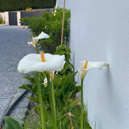 Care House - Geres